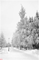 Зима в Костомукше