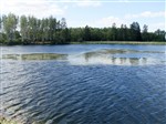 Озеро Лебяжье.