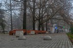 Туман на проспекте Острякова