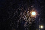 Ночь...Улица.. Фонарь.. Зима