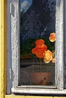 Цветы в окошке старого дома...