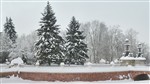 Зима в Кузьминках...