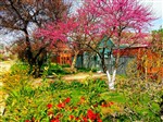 Весна красна по дворам прошла