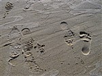 На речном песке