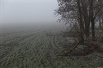 zimowa mgla