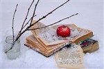 Этюд яблоко на снегу