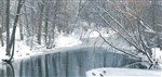 Зима на прудах в Кузьминках...