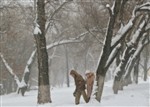 Метет пурга на московских улицах...