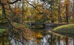 Осенний мостик,дерево и пруд