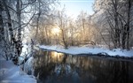 Морозным утром у реки 