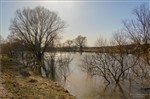 Бурлящие весенние воды реки Жиздры