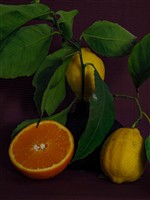 Натюрморт с лимонами и апельсином