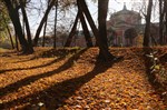 Осенние лучи в Кусково...