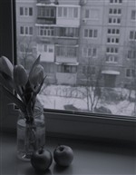  Зима за окном 
