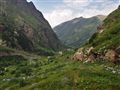 Изумрудная чаша