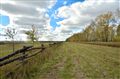 И параллельные линии сходятся!